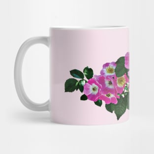 Pink Rambler Rose Mug